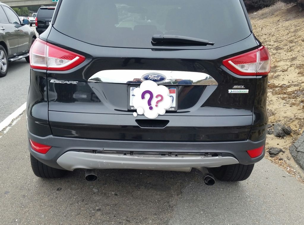 2013 / 2014 / 2015 / 2016 / 2017 Ford Escape Forum TrailFX Rear